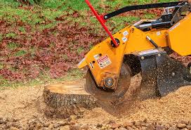Best Lawn Disease Treatment  in Janesville, CA